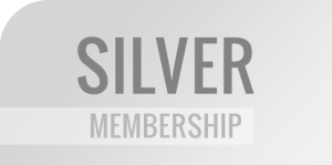 silver silver